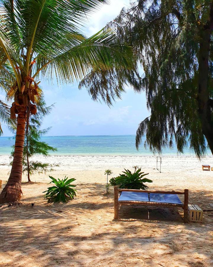 Blue Palm Zanzibar Bed and Breakfast Bwejuu Eksteriør billede