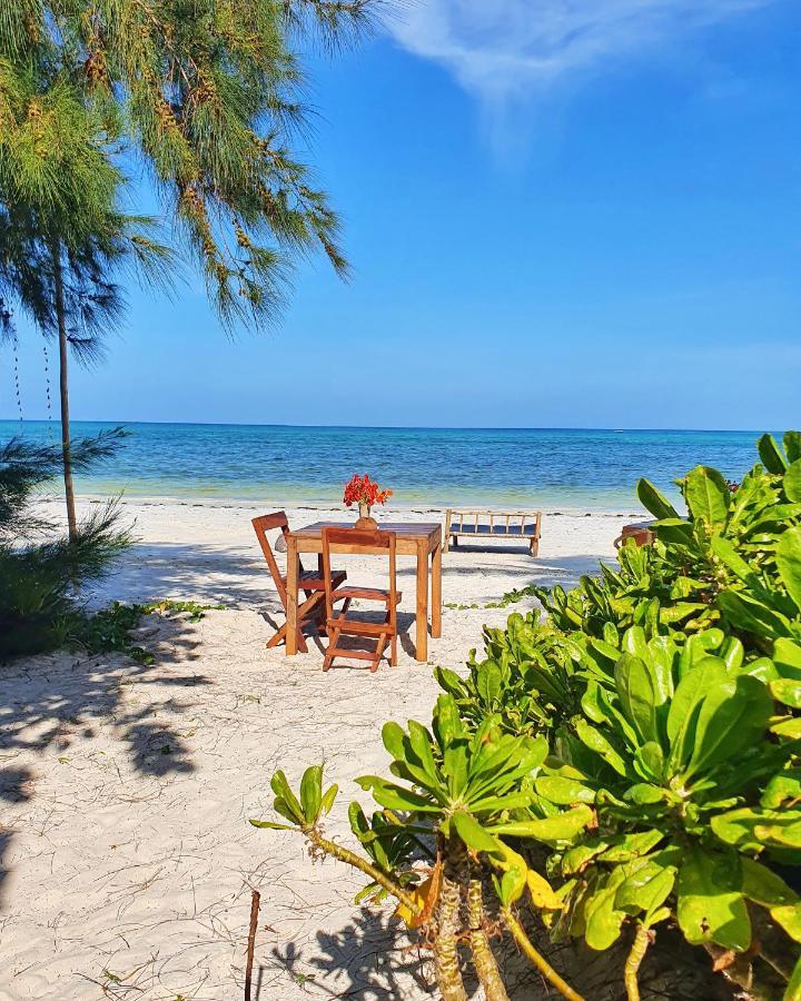 Blue Palm Zanzibar Bed and Breakfast Bwejuu Eksteriør billede