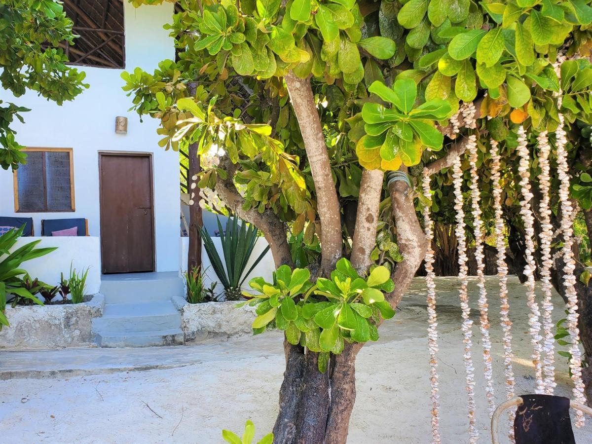 Blue Palm Zanzibar Bed and Breakfast Bwejuu Eksteriør billede